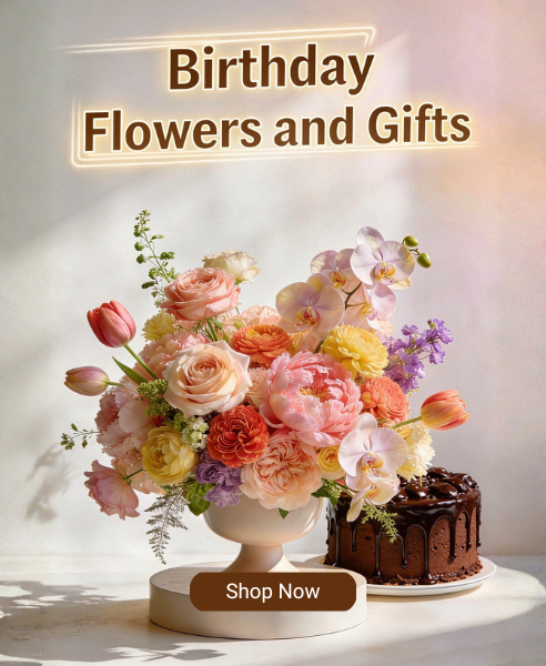 Birthday Gifts Delivery