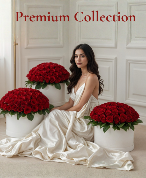 Premium Collection