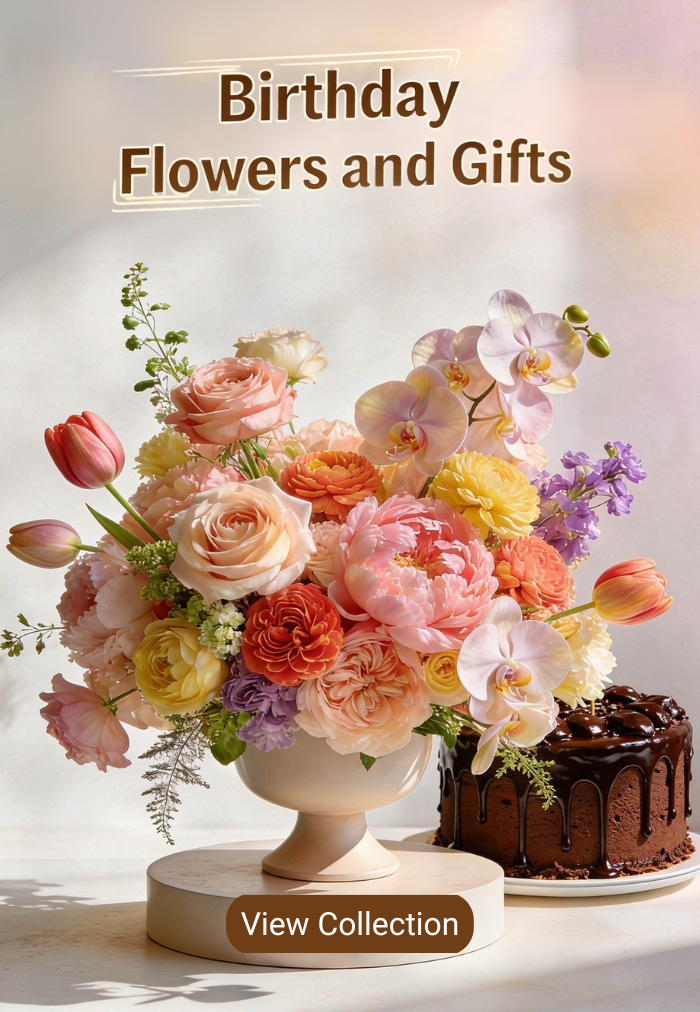 Birthday Gifts Delivery