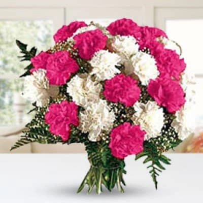 15 pink and white carnation in elegant wrapping