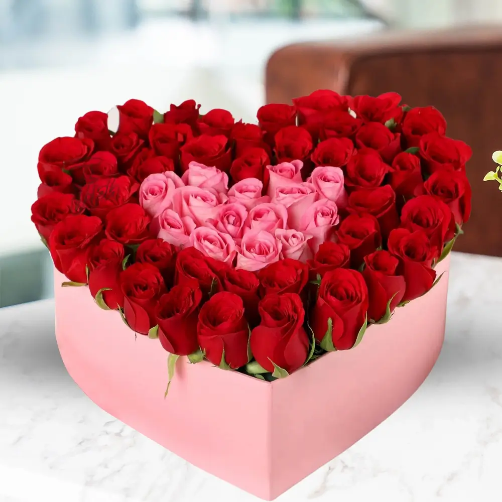 Red & Pink Roses in Box